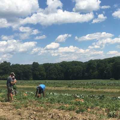 First fields plowed - the 2024 farming season is here. Did you sign-up for your Fox Creek Farm produce share already?

#foxcreekfarmcsa
#exceptional_produce