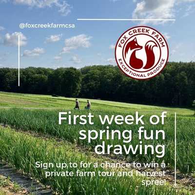 Fun drawing: sign-up during the first week of spring to enter!

#foxcreekfarmcsa
#exceptional_produce