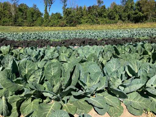 How did you meet (and is that a true story)?