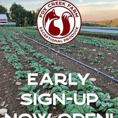 Up for another season of exceptional produce? Reserve your 2025 Fox Creek Farm CSA now, and receive a free FCF T-shirt. Visit website for more info.

#foxcreekfarmcsa
#exceptional_produce
#communitysupportedagriculture