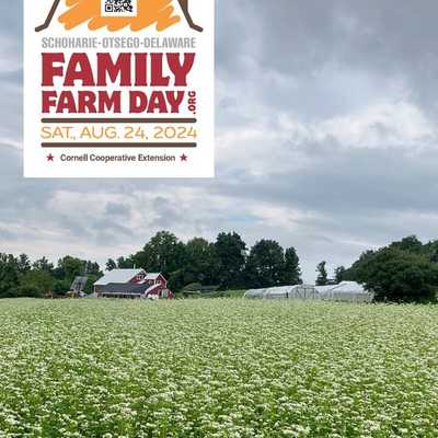 Come tour our farm! August 24 is family farm day. Tours start 10:30, 11:30, 1:30 and 2:30

Visit our fields, get your questions answered, and visit with our (draft) horses. And, as a CSA member, enjoy your pickings in the U-pick garden!

#foxcreekfarmcsa