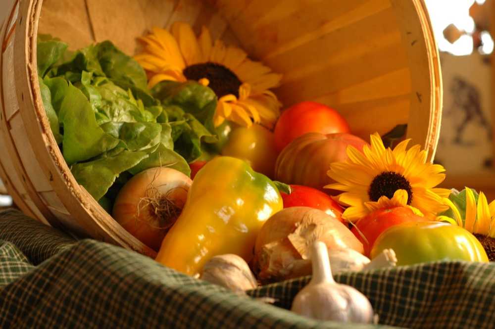 Fox Creek Farm: Exceptional produce