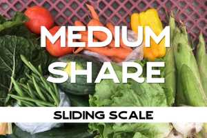 Medium Share, Benefactor example