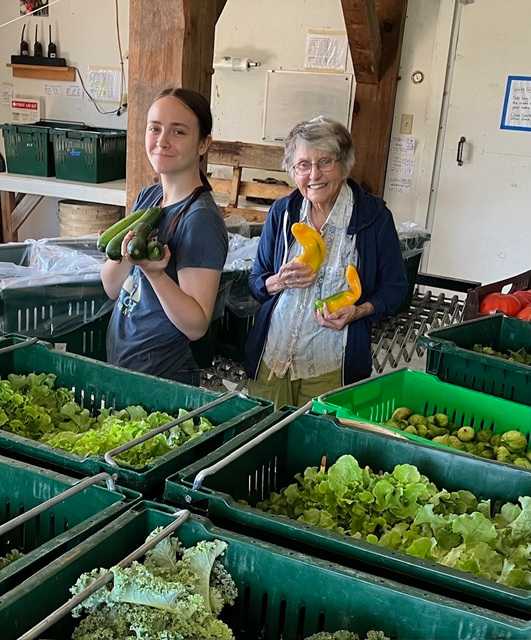 Maddie and Kay packing CSA shares in the barn - lots of produce in green crates