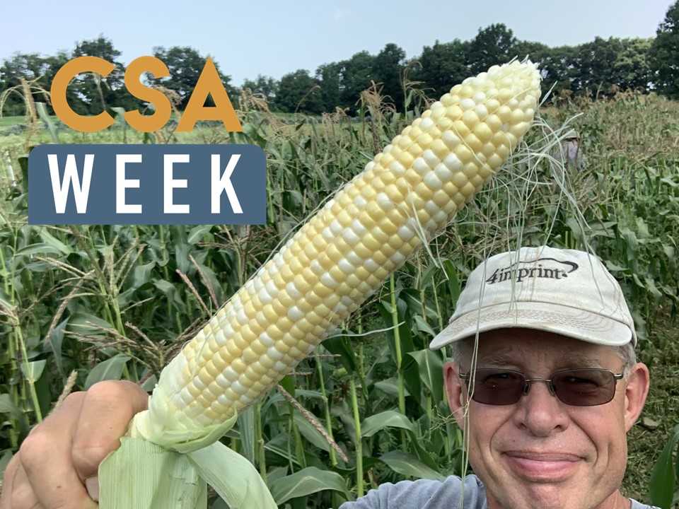 It's CSA Week 2025!