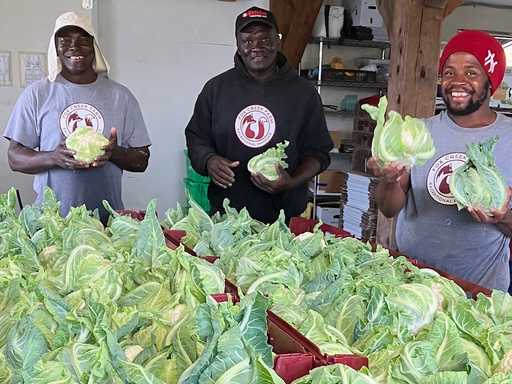 Explain your sliding scale, please!