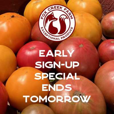 Sign up now for 2025: Early sign-up special expires tomorrow!

#foxcreekfarmcsa