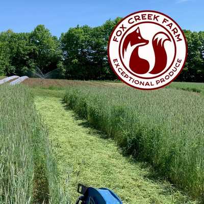 Fox Creek Farm: First harvests next week! Forgot to sign-up? Visit our website www.foxcreekfarmcsa.com to sign-up now.