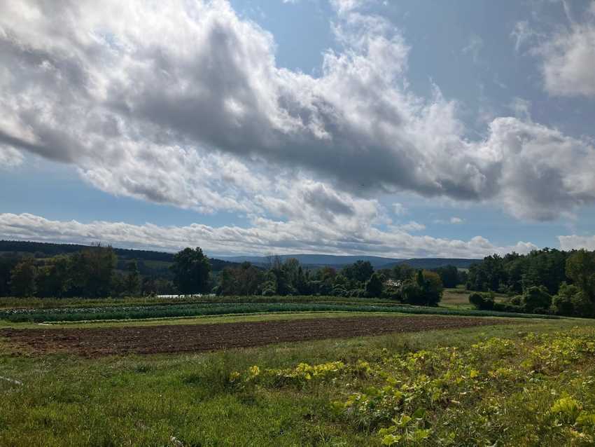 View of the farm fields, overlooking Fox Creek and Kings Creek valleys in the late season